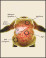 Metabolic System Care